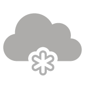 Overcast with light snow